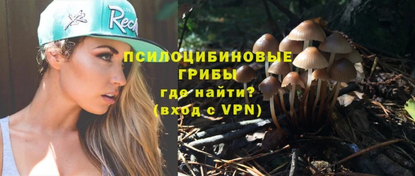 амфетамин Алексеевка
