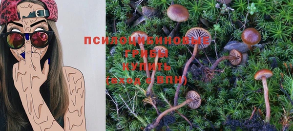 амфетамин Алексеевка