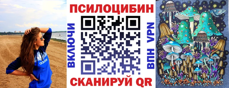 МЕГА как войти  Вышний Волочёк  Псилоцибиновые грибы Psilocybe 